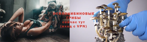 альфа пвп Арсеньев