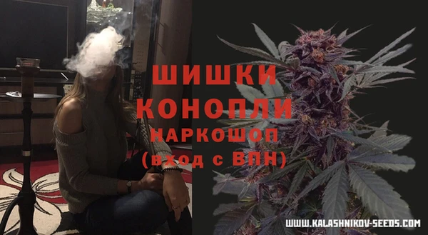 прущие крисы Алзамай
